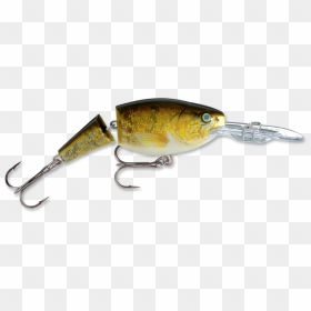 Write A Review - Shad Rap Jointed Lures, HD Png Download - walleye png