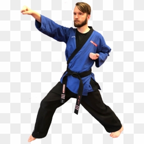 Transparent Martial Arts Png - Punch Kung Fu Png, Png Download - martial arts png