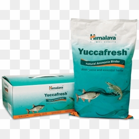 Yucca Fresh - Shark, HD Png Download - yucca png