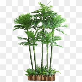 House Plant Cut Out, HD Png Download - indoor plant png
