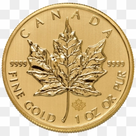 Transparent Pile Of Gold Coins Clipart - Gold Maple Leaf Coin 9999, HD Png Download - pile of gold png