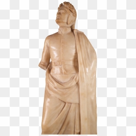 Transparent Pidgey Png - Trench Coat, Png Download - roman statue png