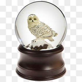 Snowy Owl Snow Globe, HD Png Download - empty snow globe png