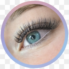 The Lash Lounge Special Offer - Eyelash Extensions, HD Png Download - eyebrow texture png