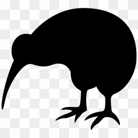 Kiwi Bird Png Image - Kiwi Symbol New Zealand, Transparent Png - crane bird png
