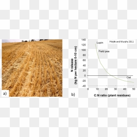 High Stubble Loads On The Left And Graph Illustrating - Carbon-to-nitrogen Ratio, HD Png Download - stubble png