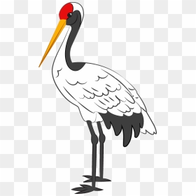 Crane Clipart - Black Stork, HD Png Download - crane bird png