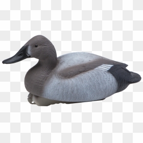 Mallard Goose Decoy Canvasback Duck - Greater Scaup, HD Png Download - duck hunt duck png