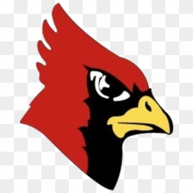 Yellow Medicine East Sting Play Redwood Valley Cardinals - Redwood Valley High School Cardinal, HD Png Download - cardinals png