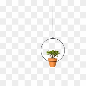 Img - Houseplant, HD Png Download - indoor plant png