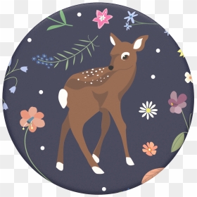 Fawn John, Popsockets - White-tailed Deer, HD Png Download - fawn png