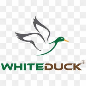 White Duck Outdoors - Mallard, HD Png Download - duck hunt duck png
