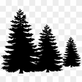 Vector Pine Tree Png, Transparent Png - christmas tree outline png
