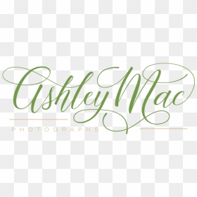 Creative Photography Logo Ideas Png - Calligraphy, Transparent Png - creative photography logo ideas png