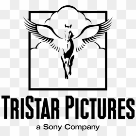 Thumb Image - Columbia Tristar Television Print, HD Png Download - tristar pictures logo png