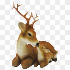 Reindeer, HD Png Download - fawn png