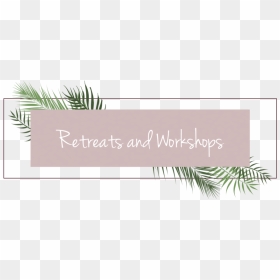 Dtc Banner Retreats - Agave, HD Png Download - yucca png