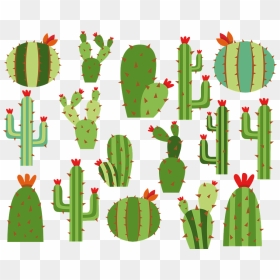 Cactus, HD Png Download - nopal png