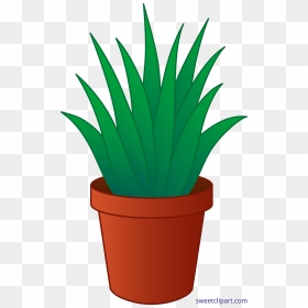 Flower In A Pot Clipart At Getdrawings - Transparent Background House Plant Clipart, HD Png Download - plant clipart png
