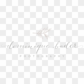 Dominique Bader Photography Logo Design By Ditto Creative, - Calligraphy, HD Png Download - creative photography logo ideas png