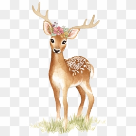 #watercolor #deer #doe #fawn #tattoo #floral #flowers, HD Png Download - fawn png