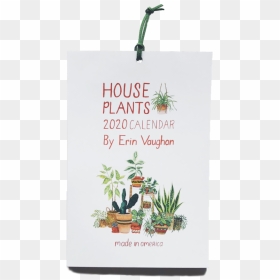 2020 Front Houseplants, HD Png Download - indoor plant png