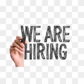Calligraphy, HD Png Download - we're hiring png
