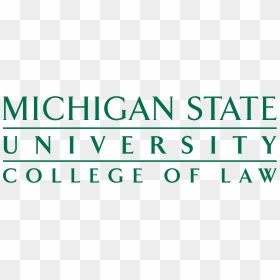 Michigan State University, HD Png Download - msu logo png
