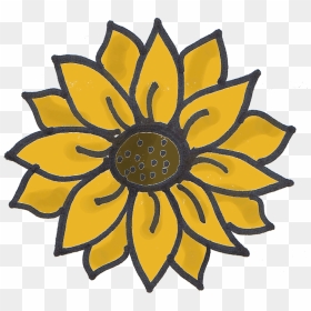 The Little Matters - Drawing Of Sunflower, HD Png Download - sun drawing png
