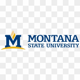 Msu Logo - Montana State University Logo Vector, HD Png Download - msu logo png