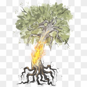 Illustration, HD Png Download - tree bark png