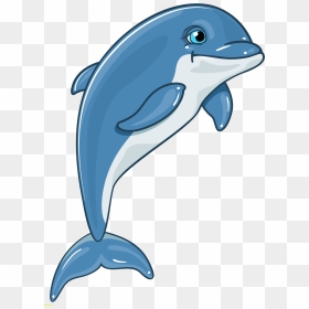 Dolphines Clipart Florida - Dolphin Png, Transparent Png - florida clipart png