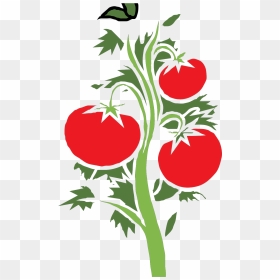 Cherry Tomato Plant Art, HD Png Download - plant clipart png