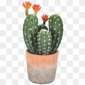 Image - Cactus In Clay Pot, HD Png Download - cacti png