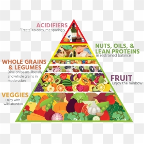 Bailey"s Food Pyramid - Alkaline Food Pyramid, HD Png Download - food pyramid png
