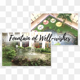 Fountain - Backyard, HD Png Download - fountain grass png