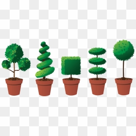 Transparent Evergreen Trees Png - Topiary Trees, Png Download - topiary png