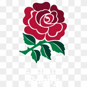 Transparent Japanese Flower Png - Red Rose England Rugby, Png Download - japanese flower png