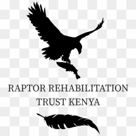 Raptor Rehabilitation Trust Kenya - Raptor Bird Of Prey Logos, HD Png Download - raptors logo png