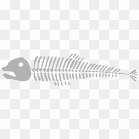 Fish Bomes Transparent Background, HD Png Download - dead fish png