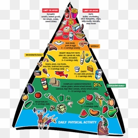 Heart Healthy Food Pyramid Clipart , Png Download - Healthy Heart Food Pyramid, Transparent Png - food pyramid png