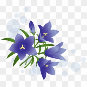 Japanese Gentian Flower Clipart - Tulipa Humilis, HD Png Download - japanese flower png
