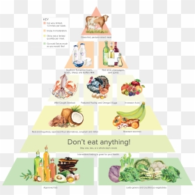 Food Pyramid Png - Dr Gundry Food Pyramid, Transparent Png - food pyramid png