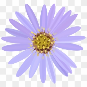 Pollen,chrysanths,flower - Aster Flower Clipart, HD Png Download - daisy flower png