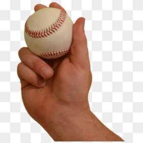 College Baseball, HD Png Download - dead fish png