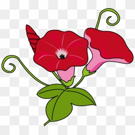 Download Morning Glory Clipart Japanese Morning Glory - Japanese Morning Glory, HD Png Download - japanese flower png