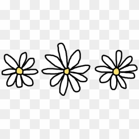 Flower Common Daisy - Flower Sticker, HD Png Download - daisy flower png
