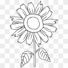 Sun Flowers Clipart Black And White Black And White - Sunflower Clip Art Black And White Free, HD Png Download - sunflower border png