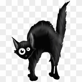 11110 Animal , Chat Noir Alloween - Chat Noir Clipart Free, HD Png Download - chat noir png