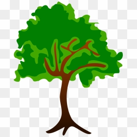 Tree-20 Clip Arts - Nature Clipart, HD Png Download - tree graphic png